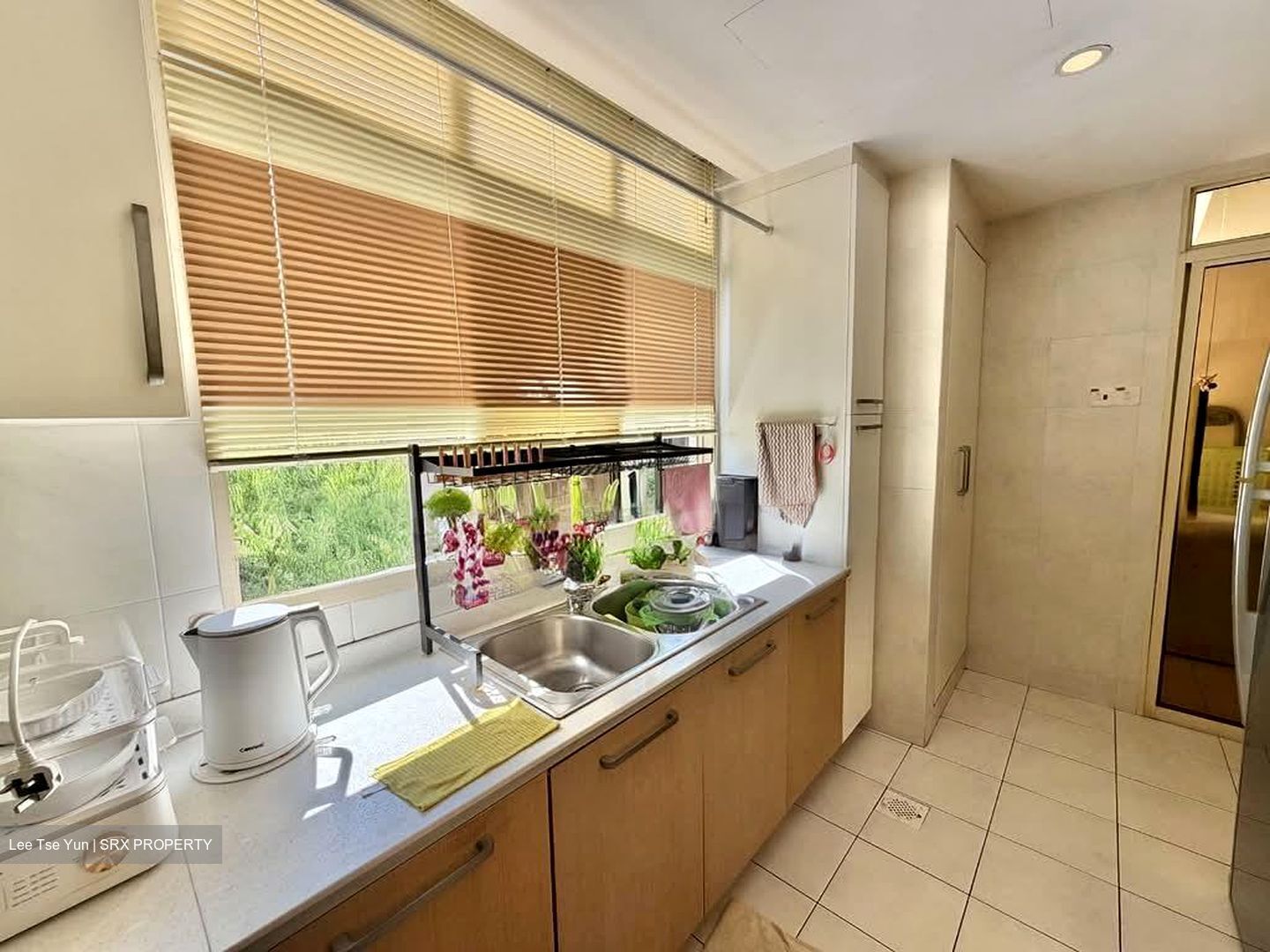 Sims Green (D14), Apartment #553493031